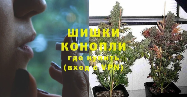 ГАЛЛЮЦИНОГЕННЫЕ ГРИБЫ Навашино